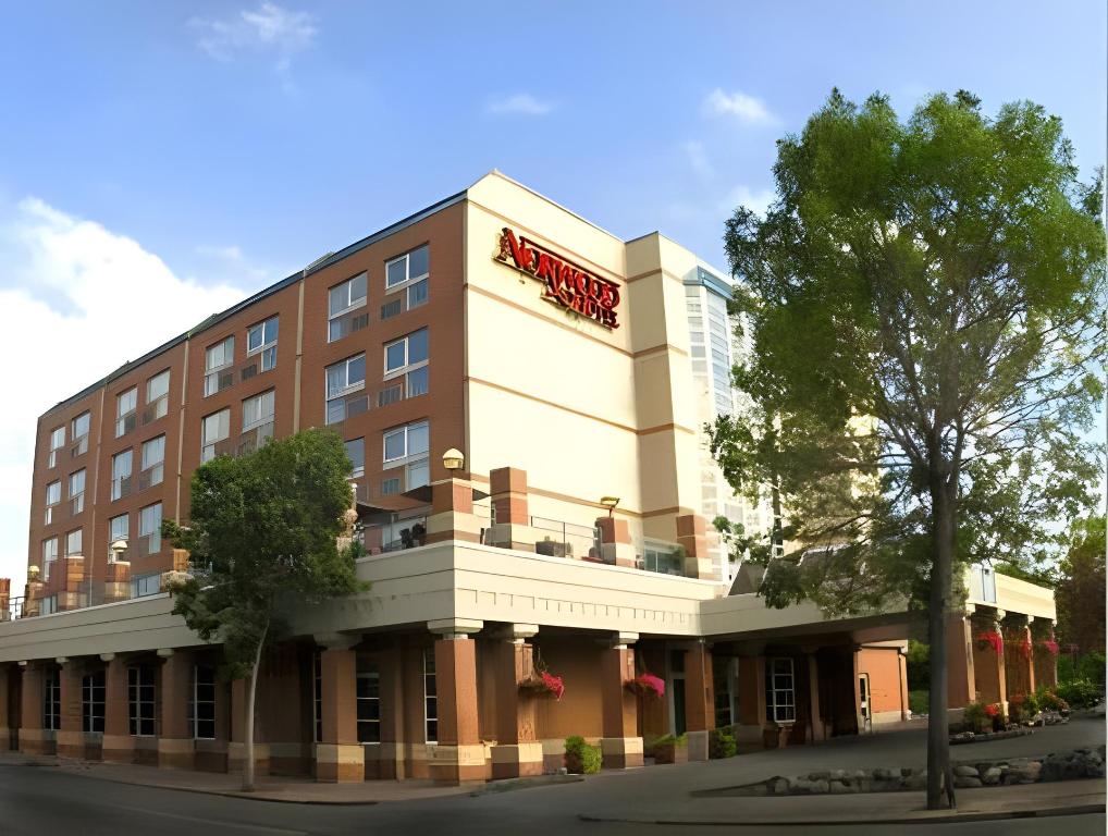 世界杯预测-诺伍德诺伍德加点