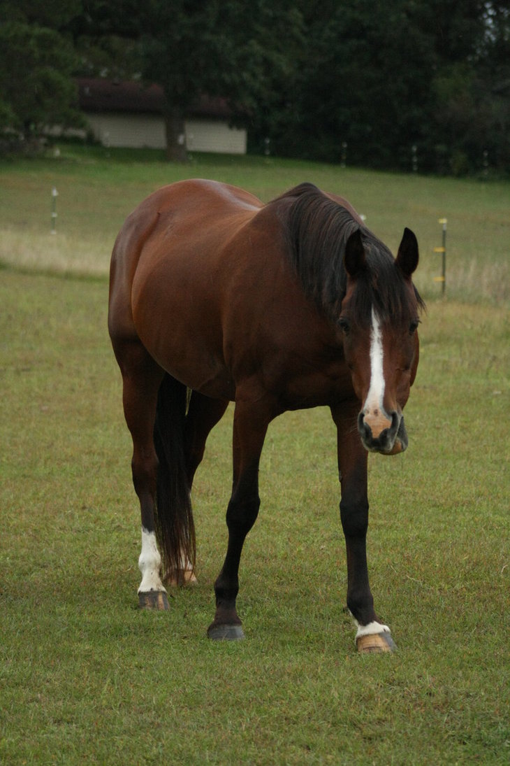 2026世界杯竞猜-祖马祖马龙最经典的三款香水